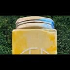 Best Mango Yogurt w. Crystal Pearl in Carmel, IN